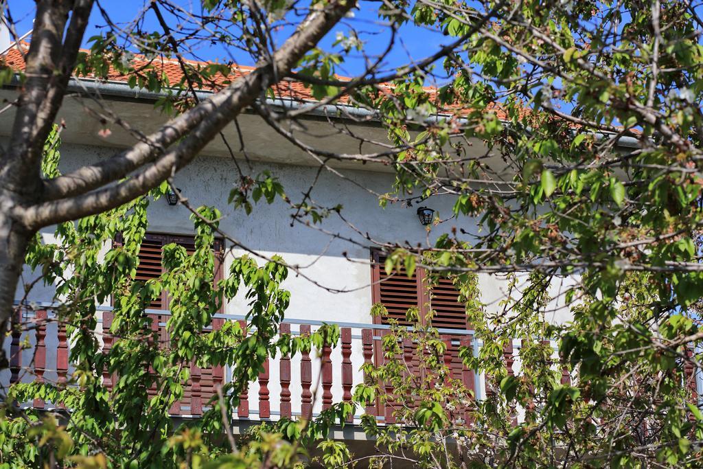 Apartment Ante Bibinje Eksteriør billede